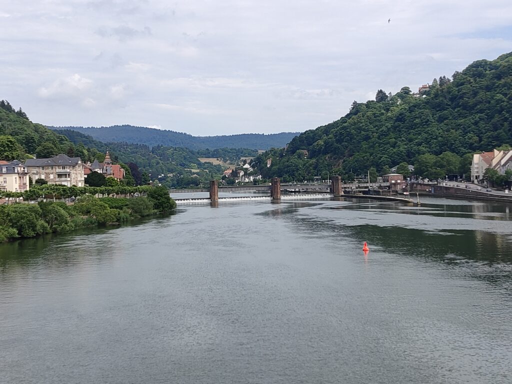 Heidelberg (9)